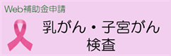 Web補助金申請 乳がん・子宮がん検査